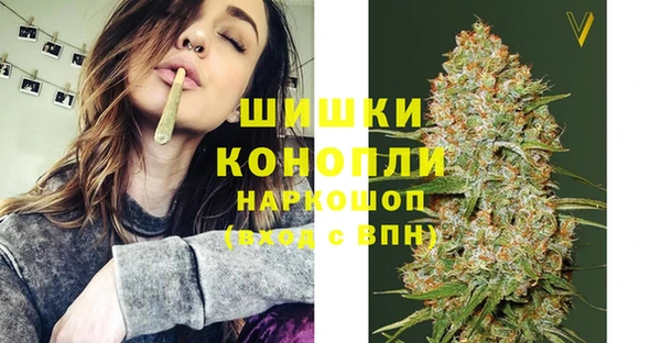 дурь Арсеньев