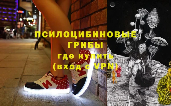 сатива Алексин