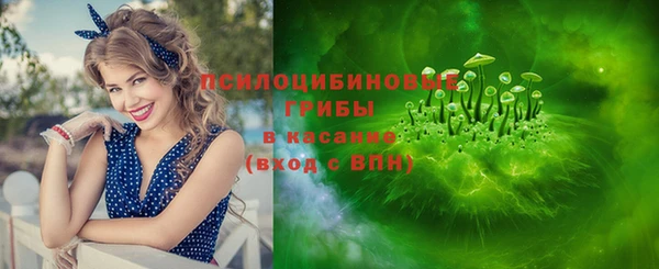 ешки Алексеевка